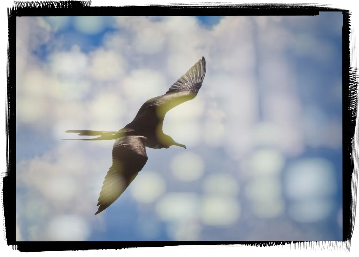 Travel Photo