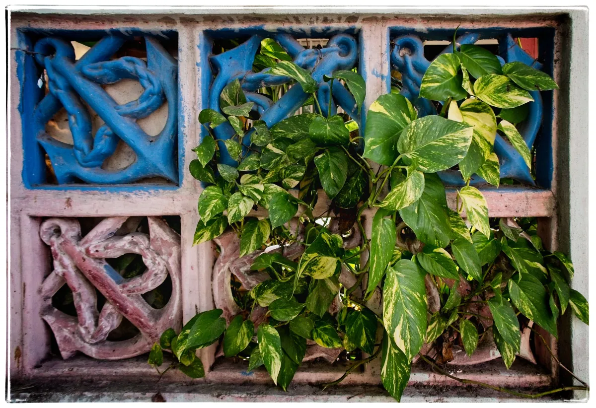 Travel Photo